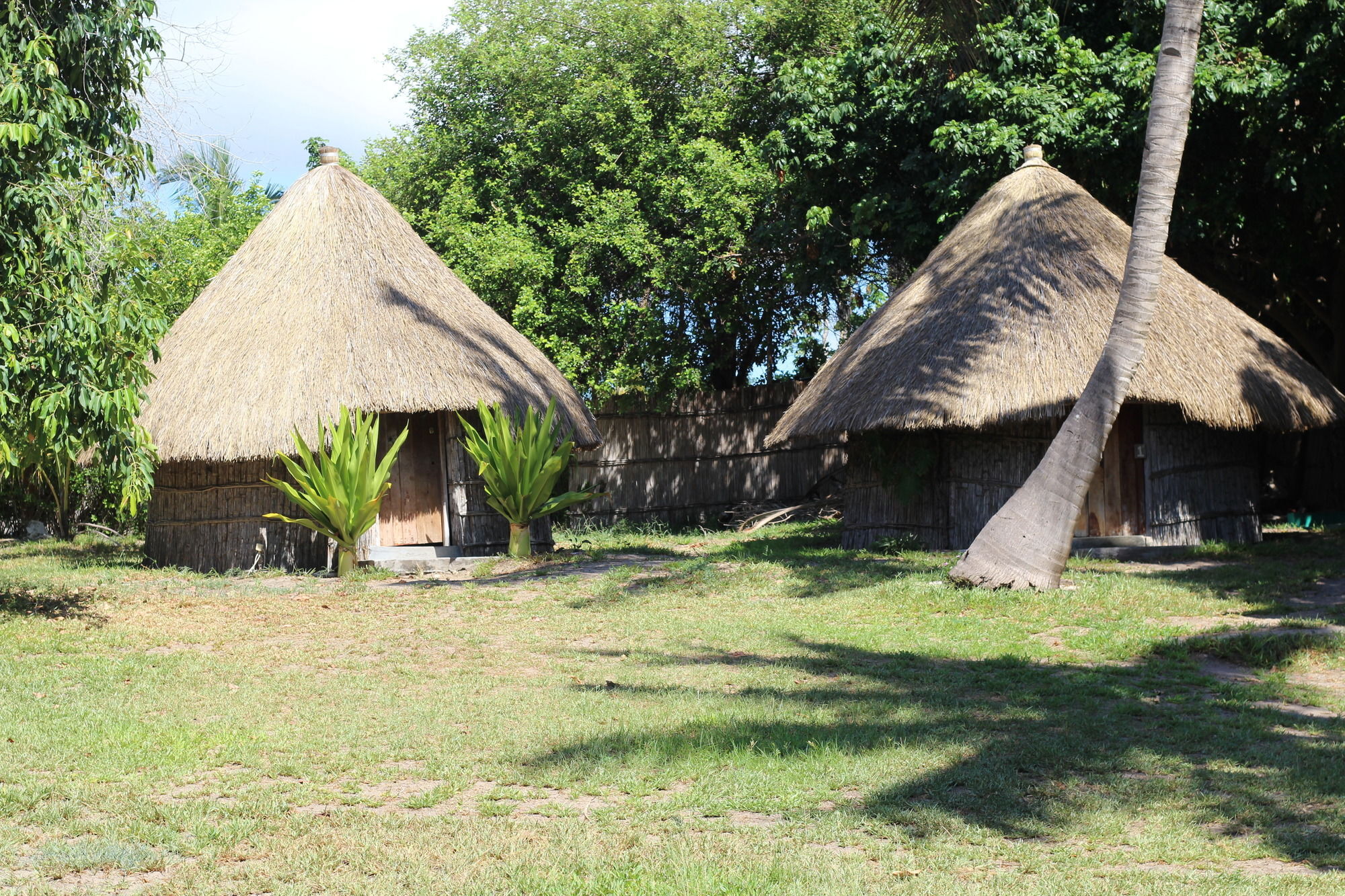 Baobab Beach Lodge And Backpackers Vilankulo Eksteriør billede